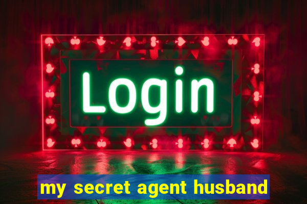 my secret agent husband